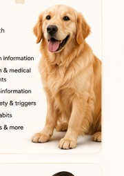 Veterinary professional supporting a pet during care